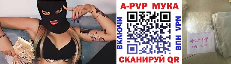omg как зайти  Черкесск  APVP Соль  закладки 