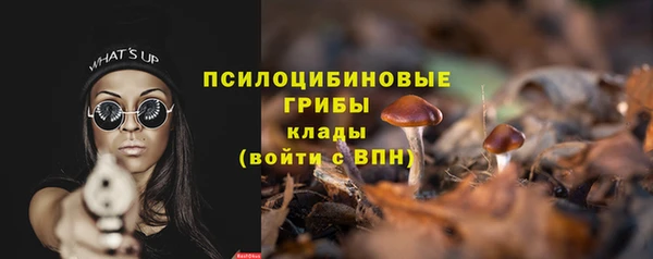 спиды Алексеевка