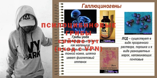 спиды Алексеевка