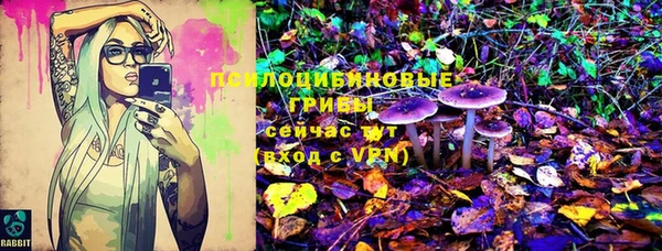 спиды Алексеевка