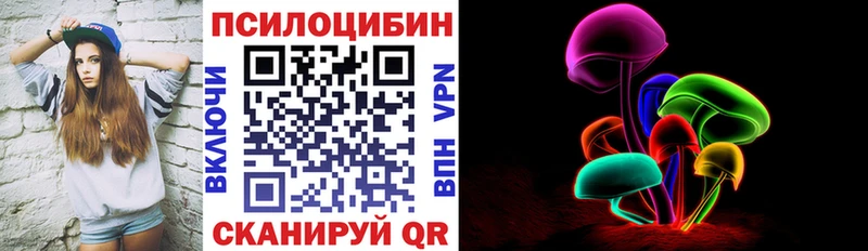 мориарти клад  где купить наркоту  Черкесск  Псилоцибиновые грибы Cubensis 